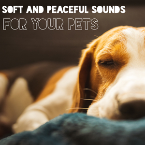 Love and Trust (Sleep Sounds for Pets)