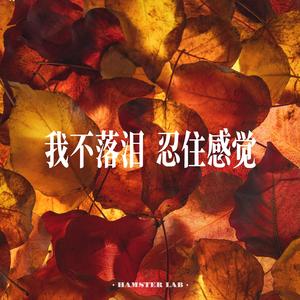 我不落泪 忍住感觉 (Neo Soul Style)