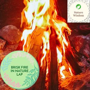 Cinematic Feeding Fire Sounds