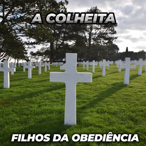 A Colheita