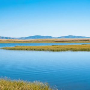 心若无悔随意心