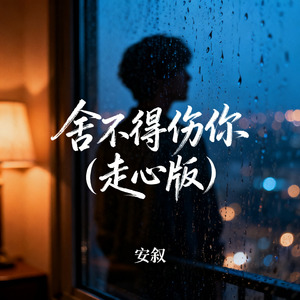 舍不得伤你（走心版）