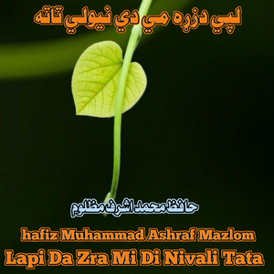Lapi Da Zra Mi