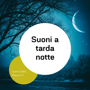 Notte assonnata