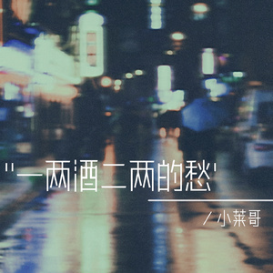 一两酒二两的愁