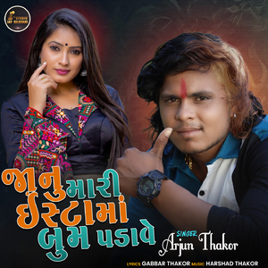 Janu Mari Insta Ma Boom Padave