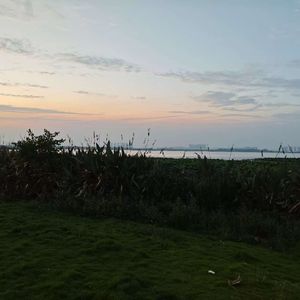 风中叶与雨中吻