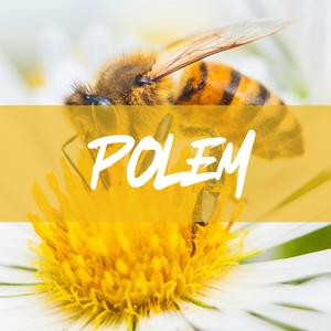 POLEM