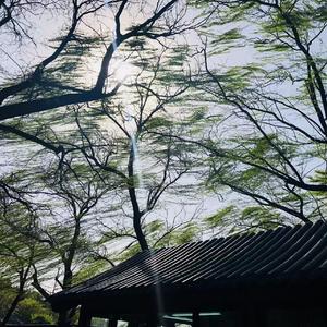 是我心动