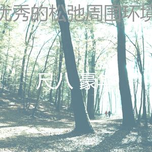 抚慰的回春回忆