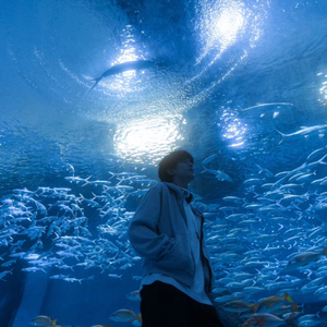 That Girl&Talking to the Moon （ZeiHoS）