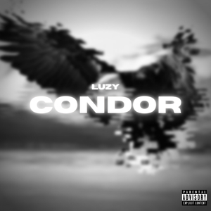 Condor