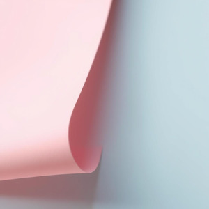 桜揺れる 光のその先へ