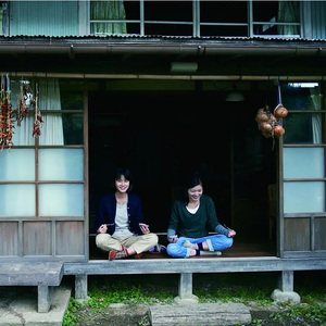 小森林(Little Forest: Summer & Autumn)