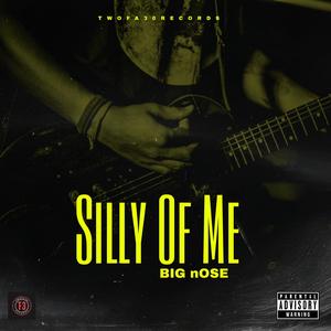 Silly Of Me