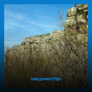 Uncommitted