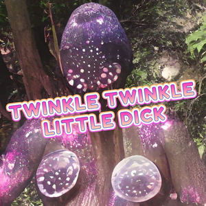 Twinkle Twinkle Little ****