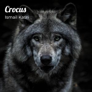 Crocus