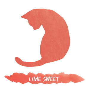 나누고 싶은 이야기