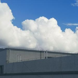 我不是你的宋冬野