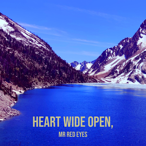 Heart Wide Open,