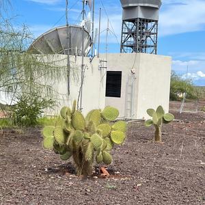 Fotosíntesis (interlude)