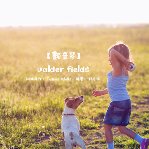 大鱼（颤音琴版）