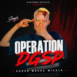 OPERATION DGSP (Tshobo Likofi)