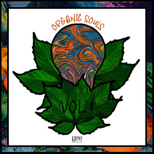 Organic Temple (Original Mix)