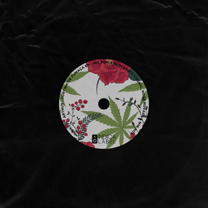 Coqueiro Na Beira Mar