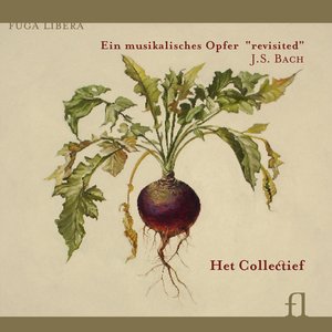 Musikalisches Opfer, BWV 1079: XII. Canon perpetuus super thema regium "Mephisto"