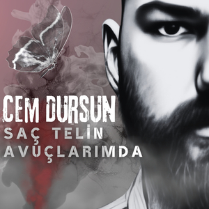 Saç Telin Avuçlarımda
