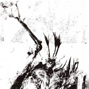 Harbinger of the Surly Malaise