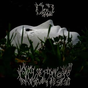 Microcosmos (Archetype)