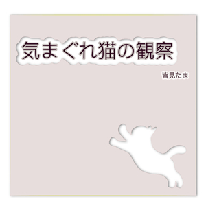 気まぐれ猫の観察