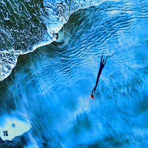 Iceberg