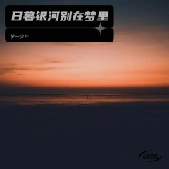 云散之后我活成了风的模样 (Remix)