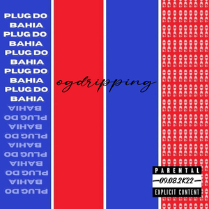 Plug do Bahia