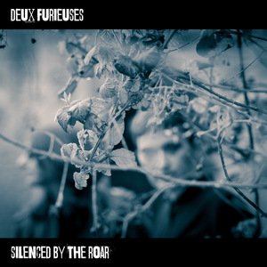 Silenced by the Roar