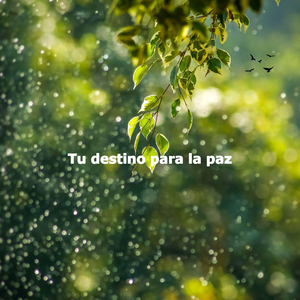 Sultry Ambiance for Tea Time