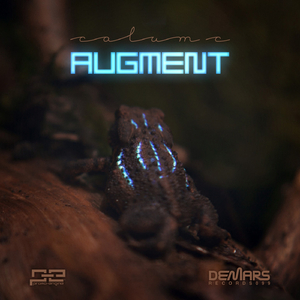 Augment (Original Mix)