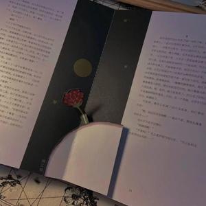 关忆北（翻自 宋冬野）