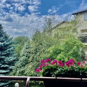 the 80's (the special unreleased one) (Beta/Unreleased)