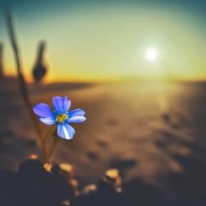Fragility