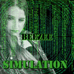 Simulation