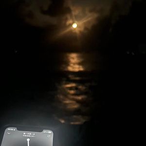 她还在想他（prod by 808）