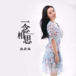 一念相思 (DJ沈念定制版)