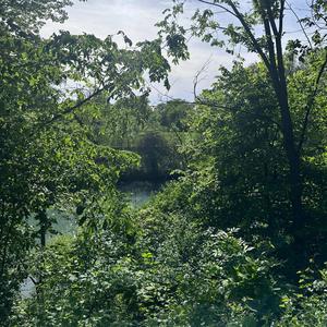 don't want you (feat. heartlss)