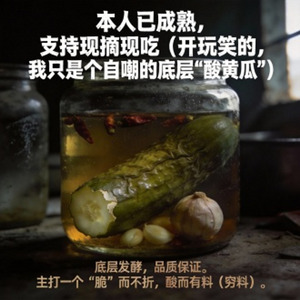 酸黄瓜的宣言