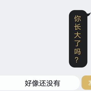 小大人